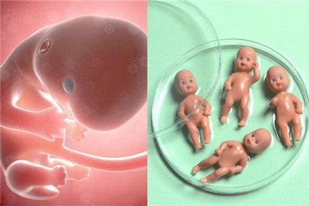 显微操作